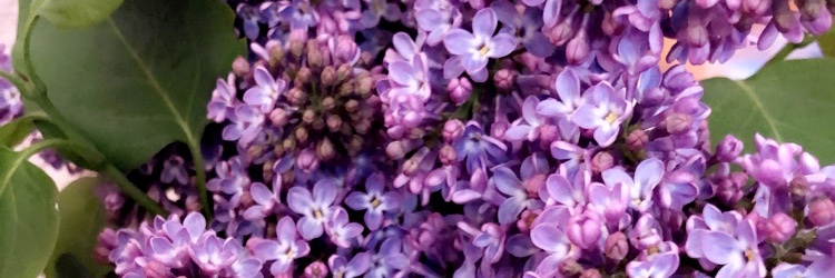 aydansedaa's profile banner image