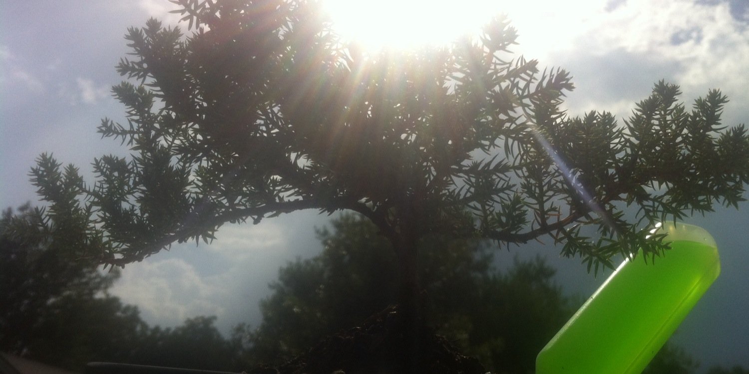 Bfry420's profile banner image