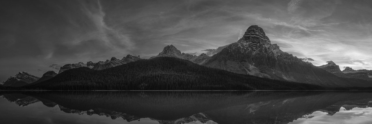 _mesivo's profile banner image