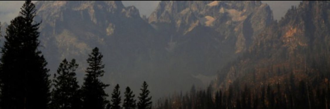 ashleyyaidee's profile banner image
