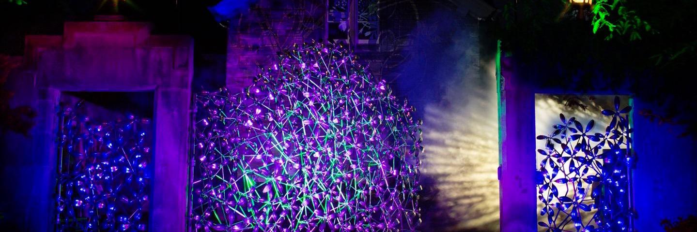 BotanicLights's profile banner image
