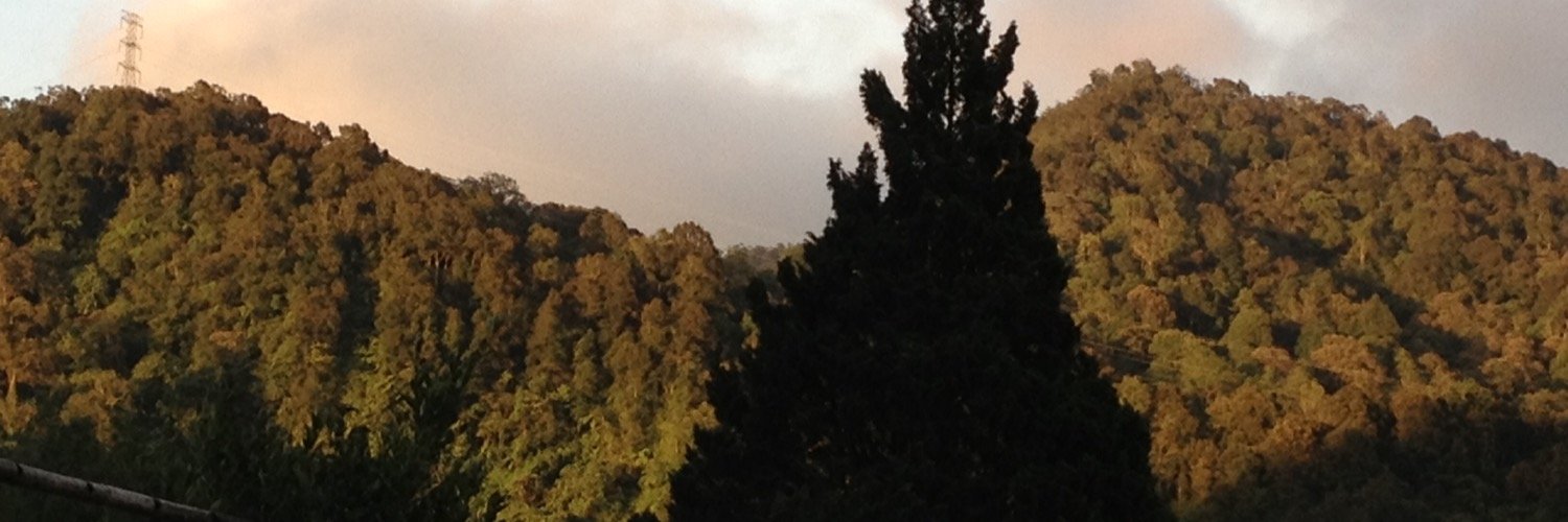 - banner