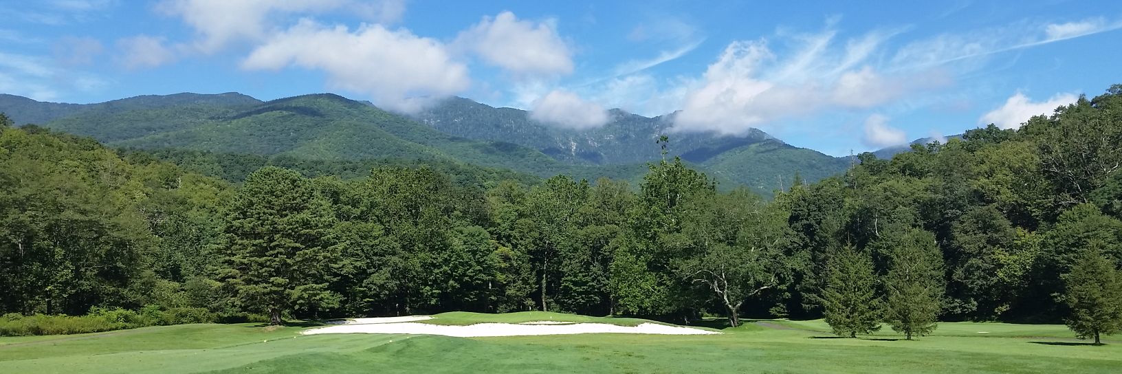 Tripp Carpenter banner