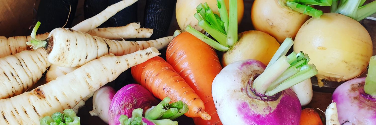 Eidknab 🇨🇭🇮🇹🇫🇷 banner