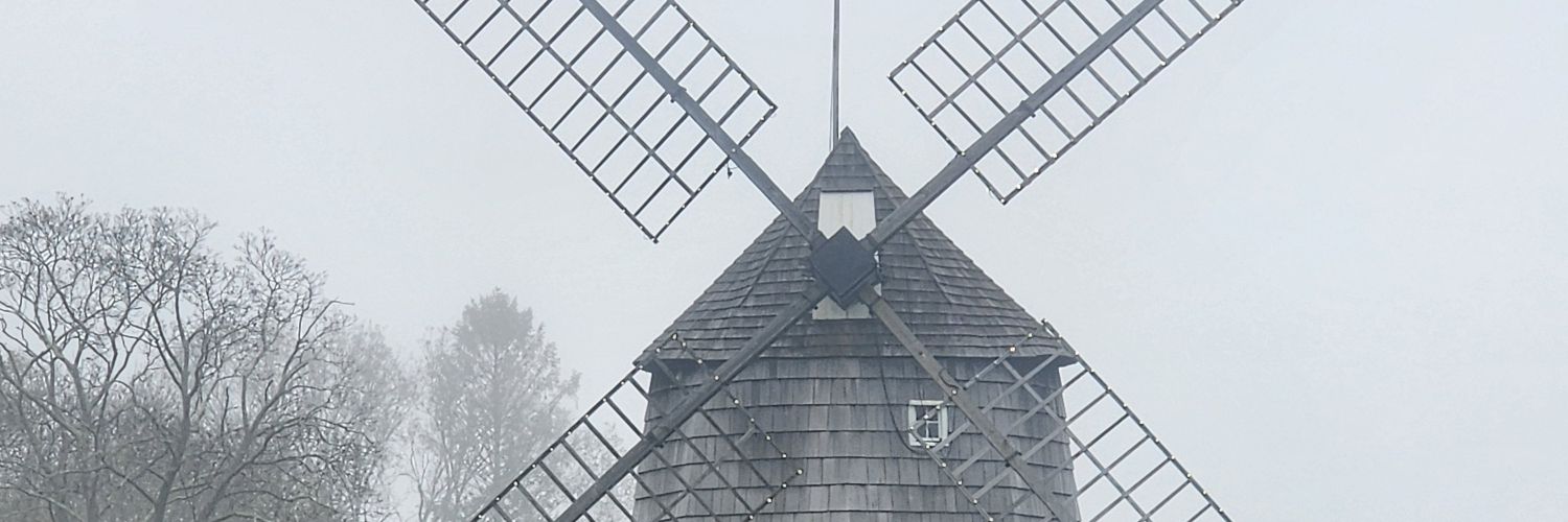 frinkenomics's profile banner image