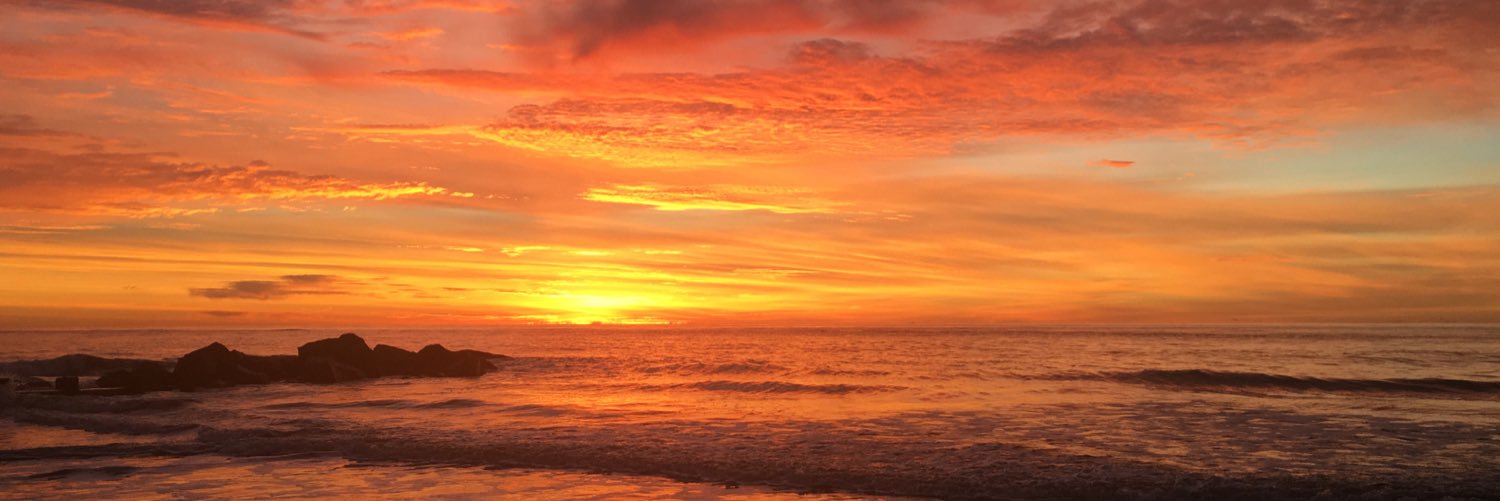 Trink44's profile banner image