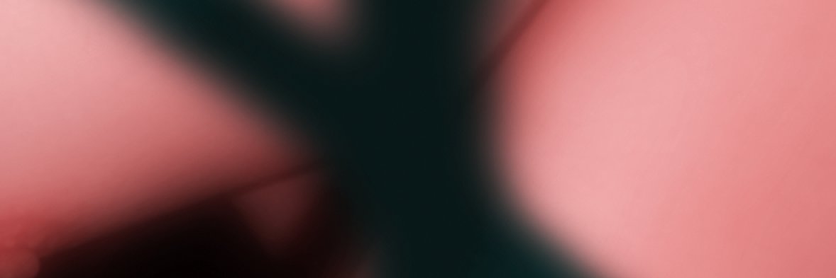 Ascion's profile banner image