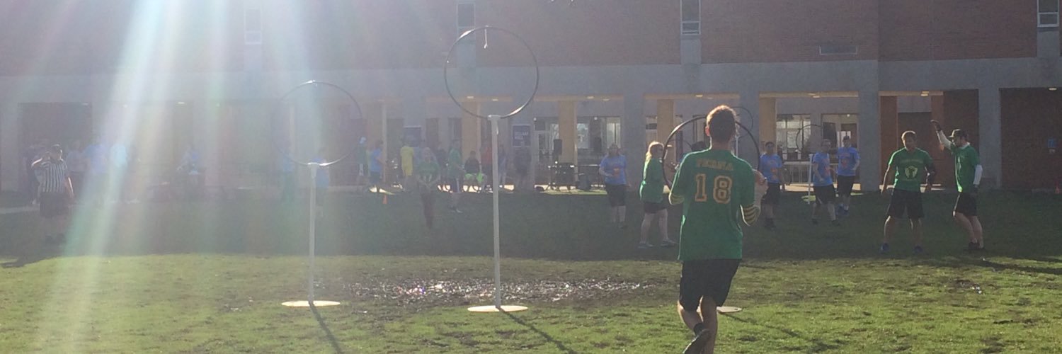 CapfamQuidditch's profile banner image