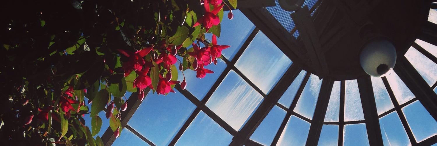 KayDayYay's profile banner image