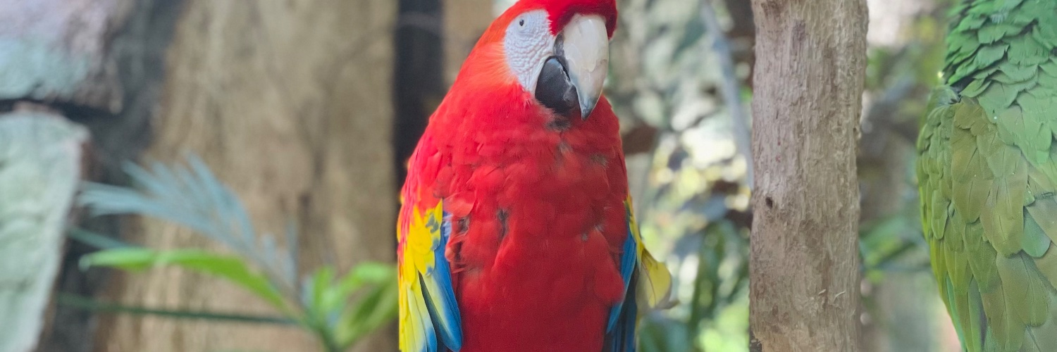 AmbarSue's profile banner image
