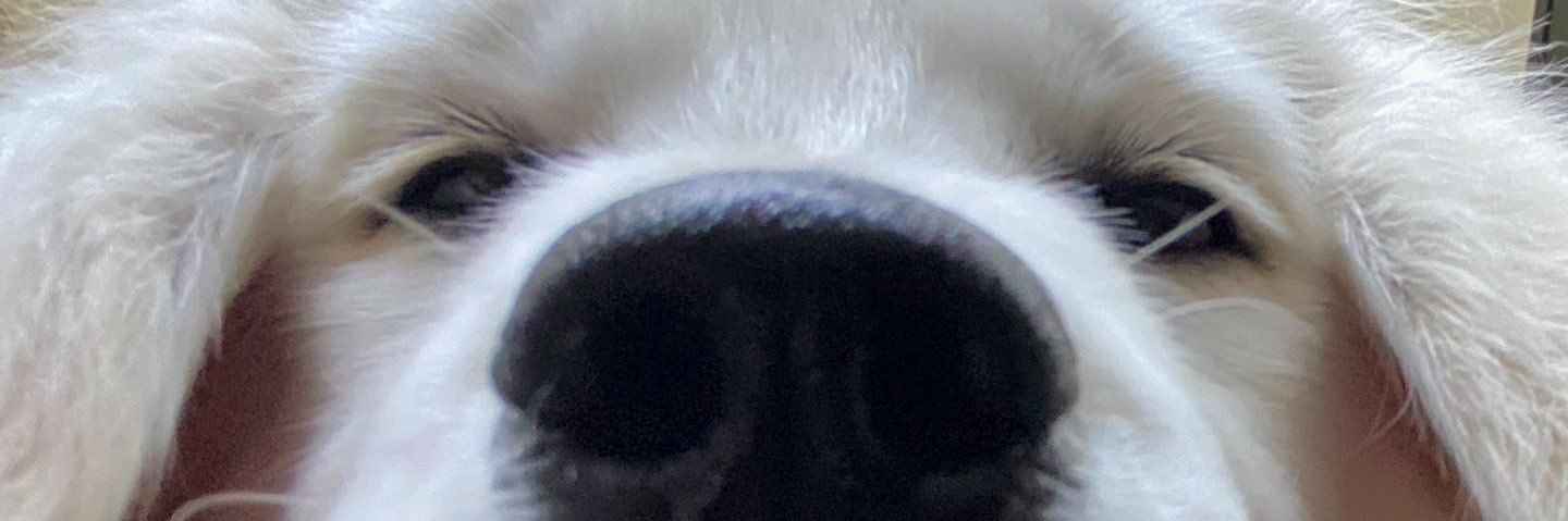 letiibb's profile banner image