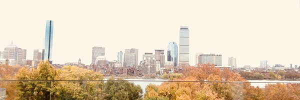 tinromedia Profile Banner