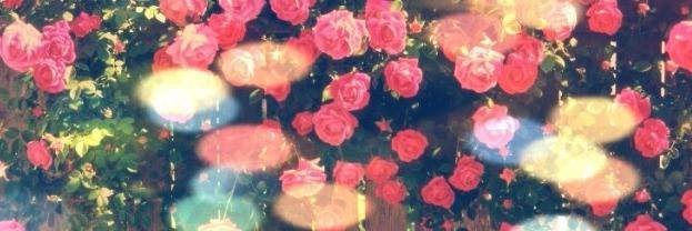 karinlisbeth2's profile banner image