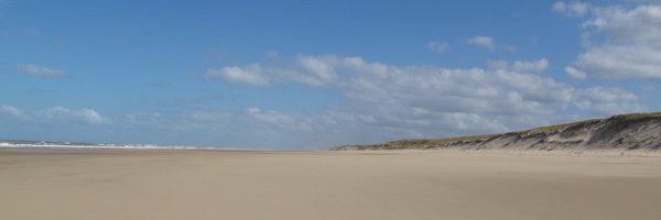 cedricth Profile Banner