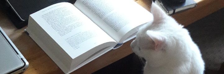 patzekatze's profile banner image