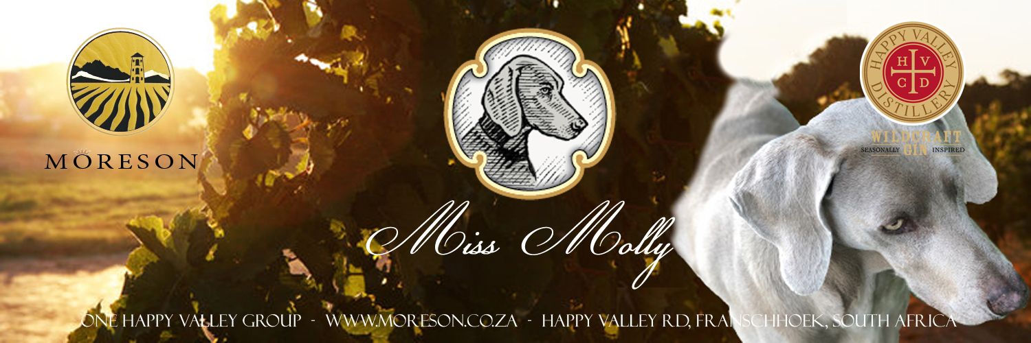 Môreson Wine Farm banner