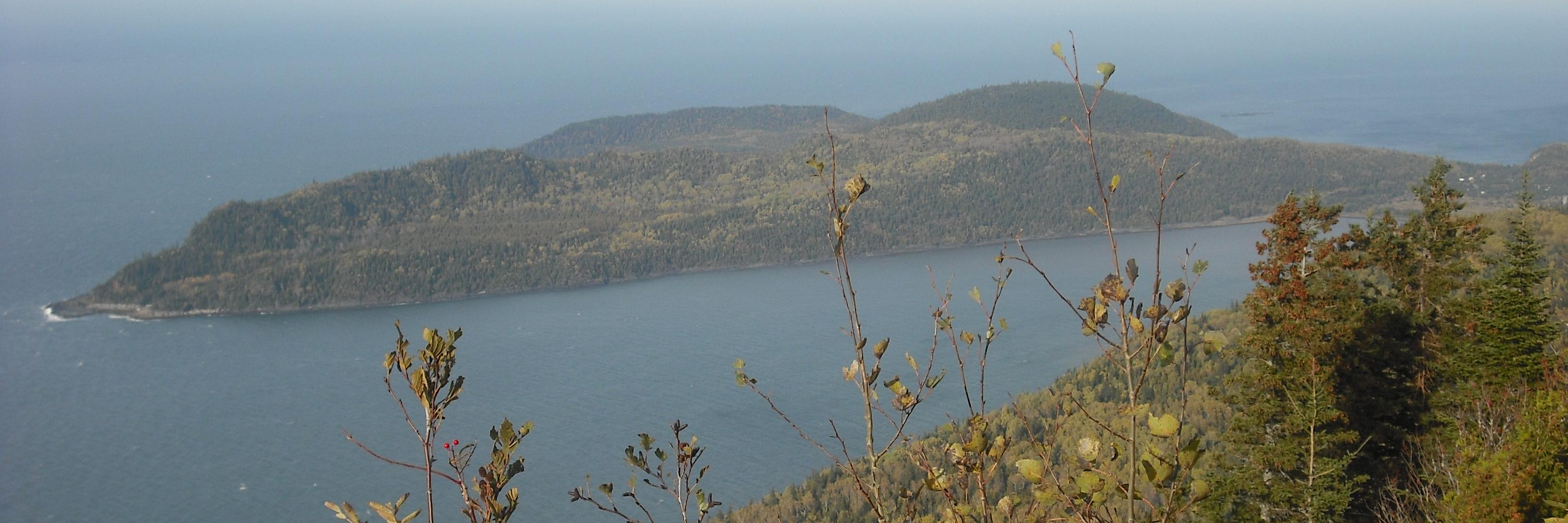 ditheberge's profile banner image