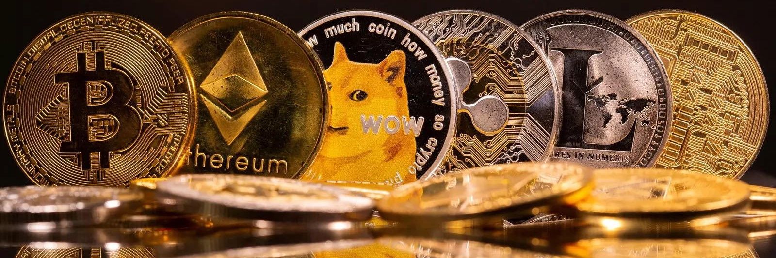 加密货币去月球🔥 banner