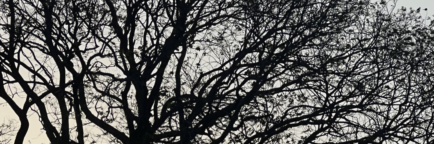 PhilipDamocles's profile banner image