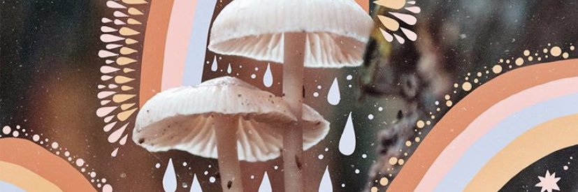 nthomps_'s profile banner image
