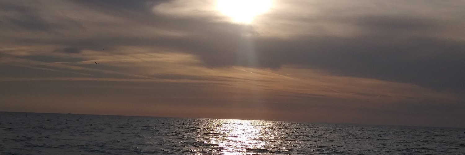 dbart541's profile banner image
