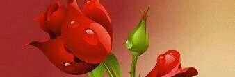 sha120912's profile banner image