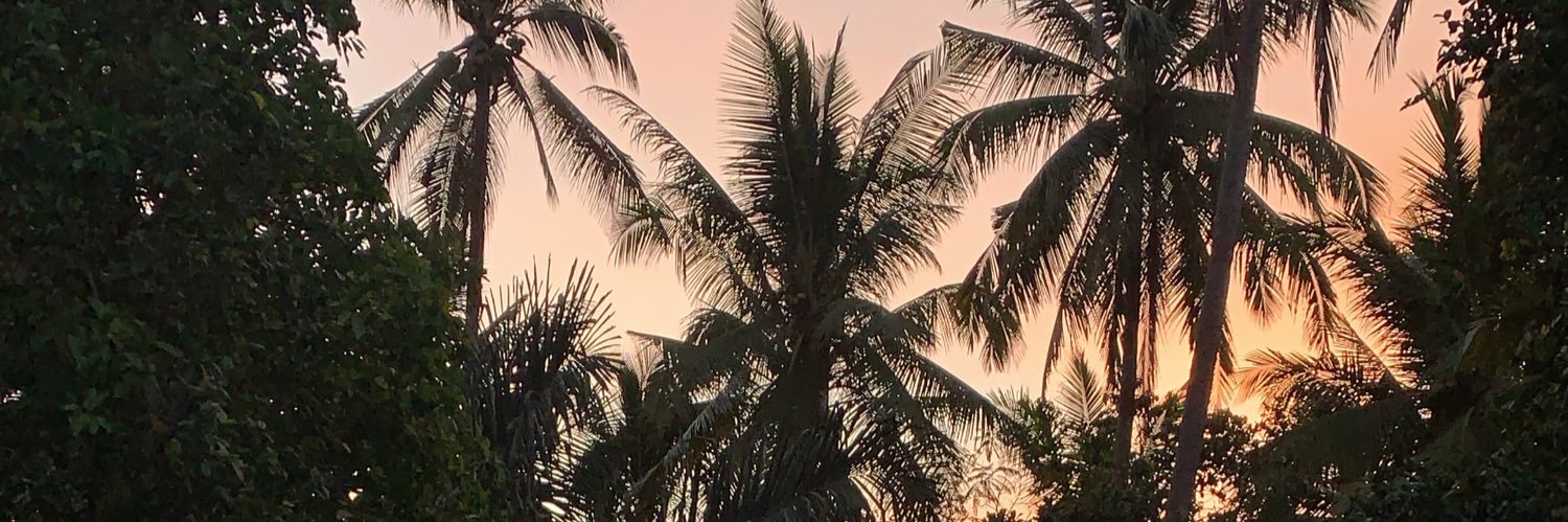 poneviliy's profile banner image