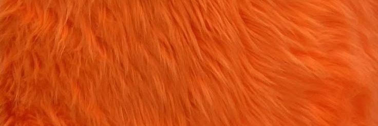 Padi2127's profile banner image