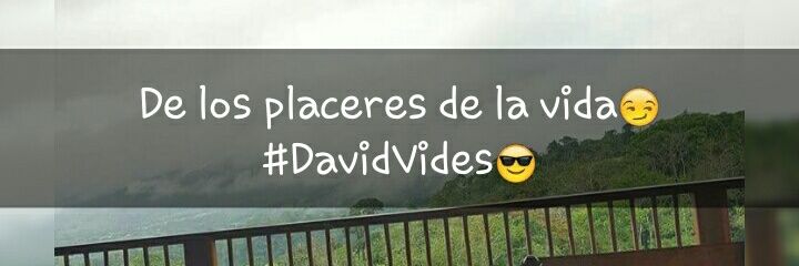 davisonvid95's profile banner image
