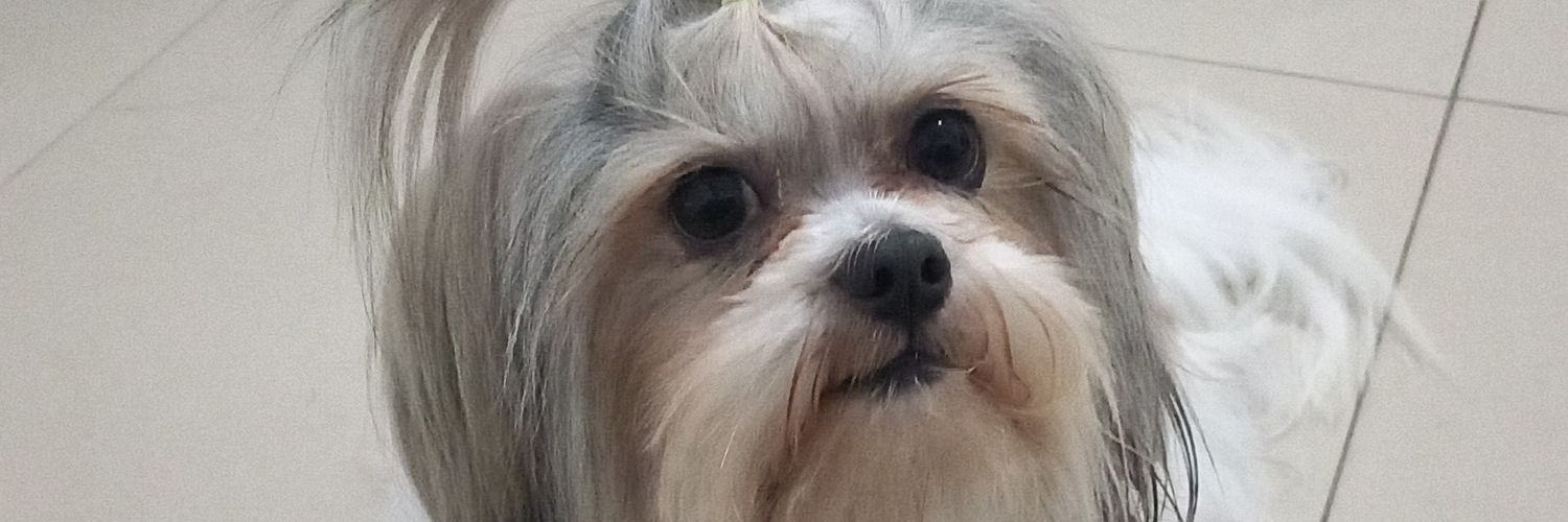 JuuKesly's profile banner image