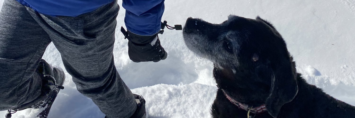 Allyxanderrr's profile banner image