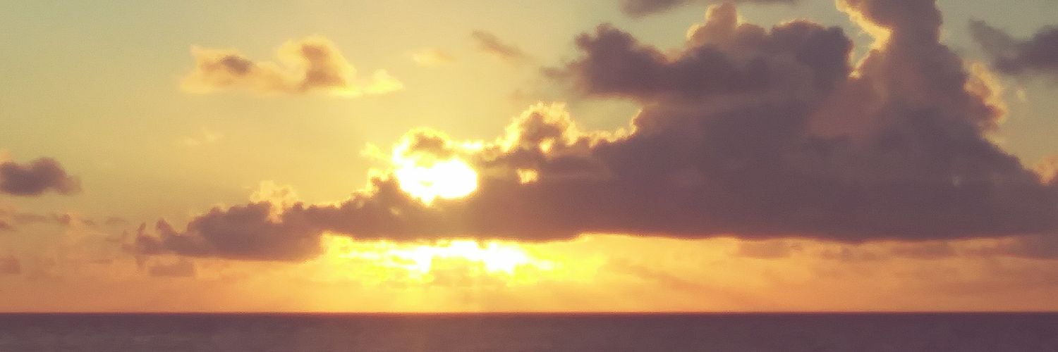 hilskilsbug's profile banner image