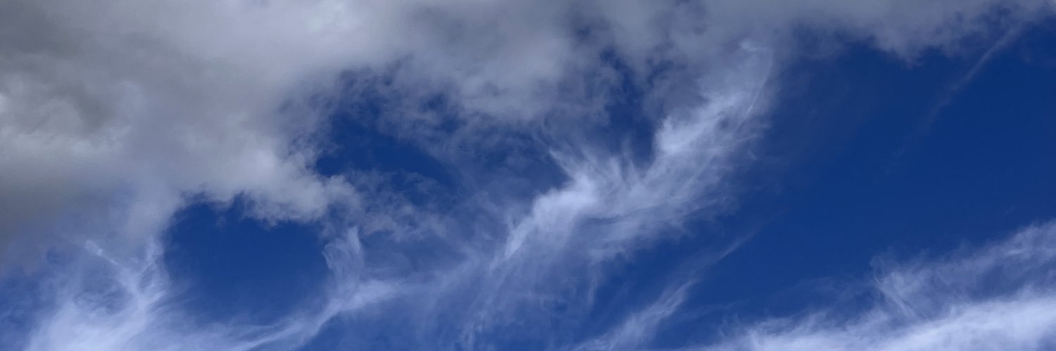 Malepka's profile banner image