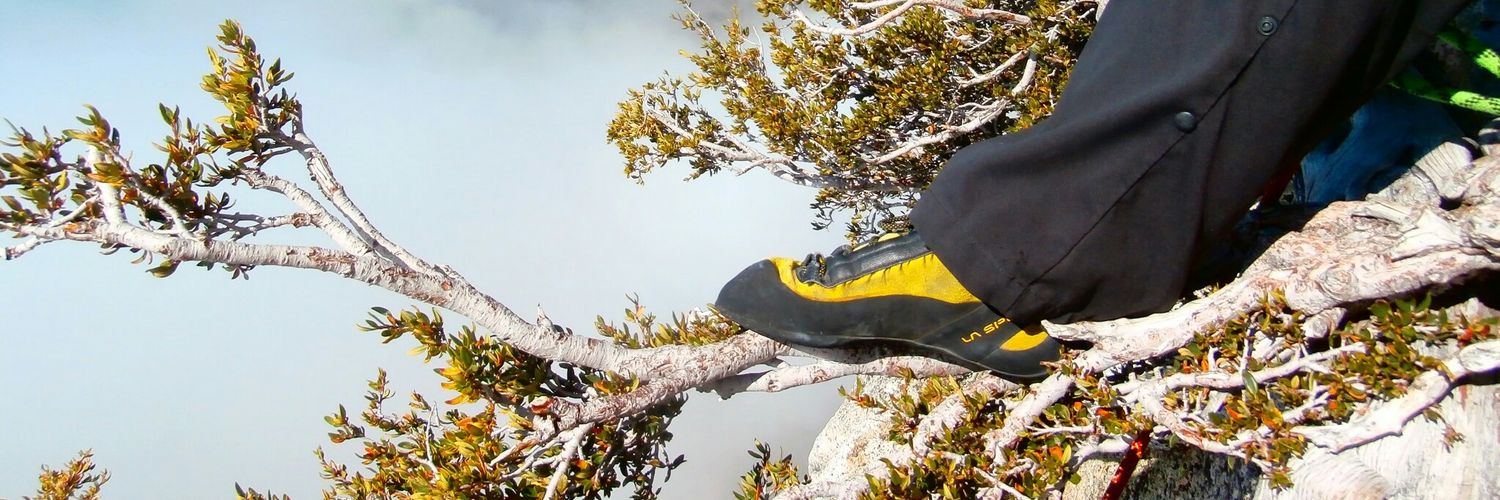 JenniferShultz's profile banner image