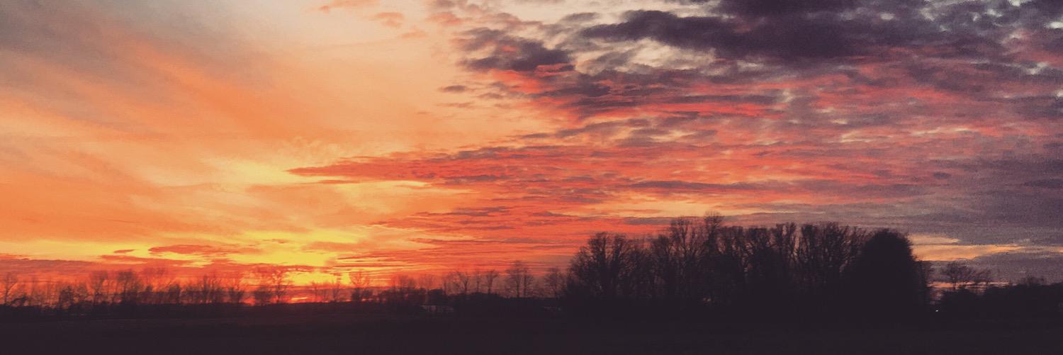 DerekBrading's profile banner image