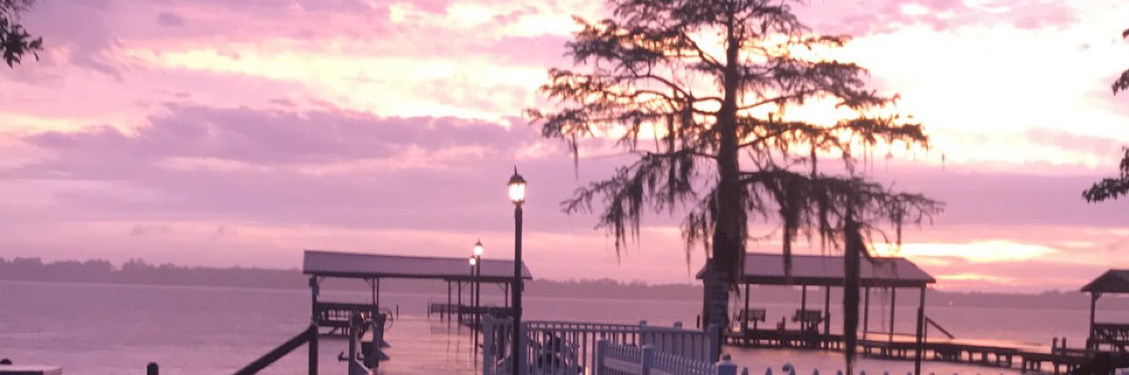 _sydneyy98's profile banner image
