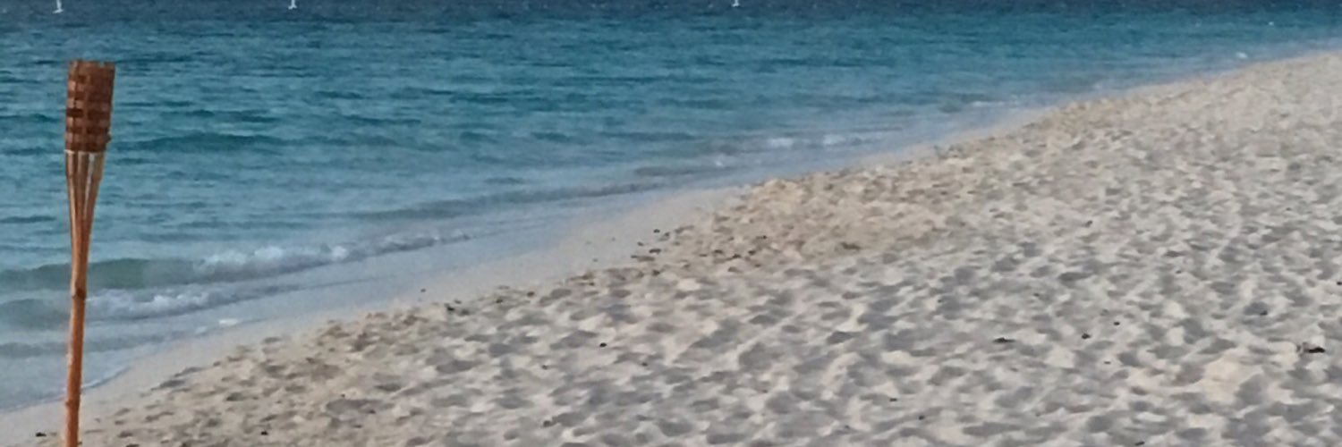 megaboo1's profile banner image
