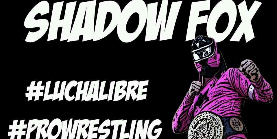 The_Shadow_Fox's profile banner image