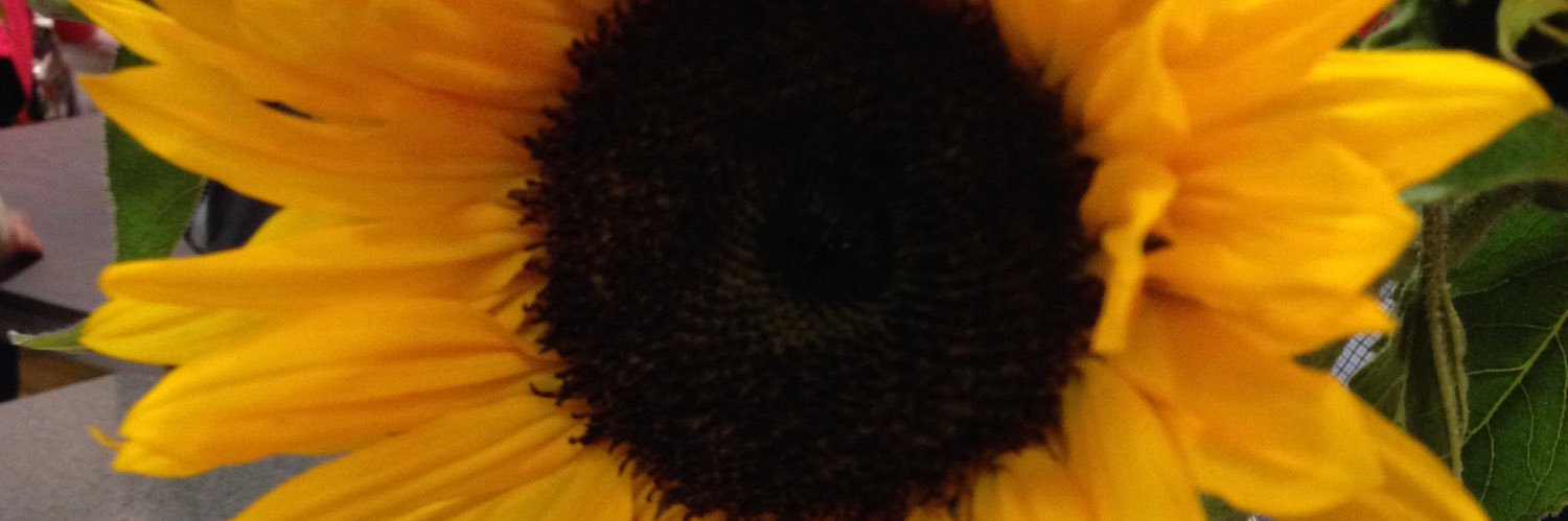 denisecaume29's profile banner image