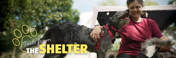 HopeRescue Profile Banner