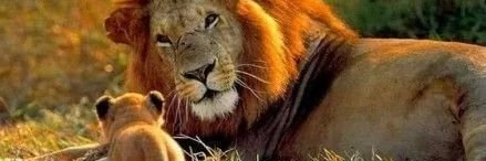 Richard A. Phillips🌊🌊🌊😎🇺🇸 banner