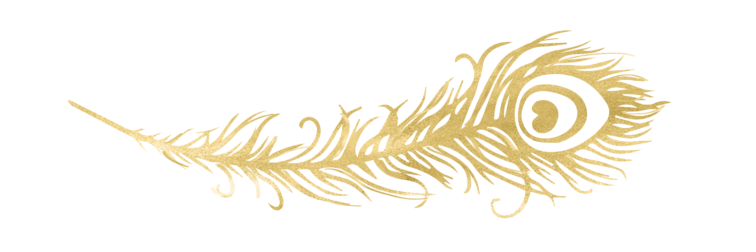 bpptweeniors's profile banner image