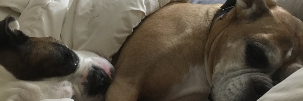dmanruggles's profile banner image