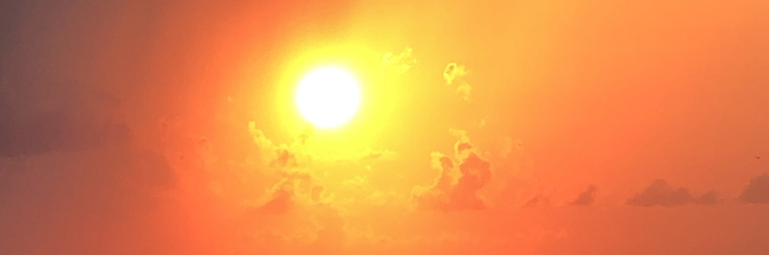 JurassicLarry93's profile banner image