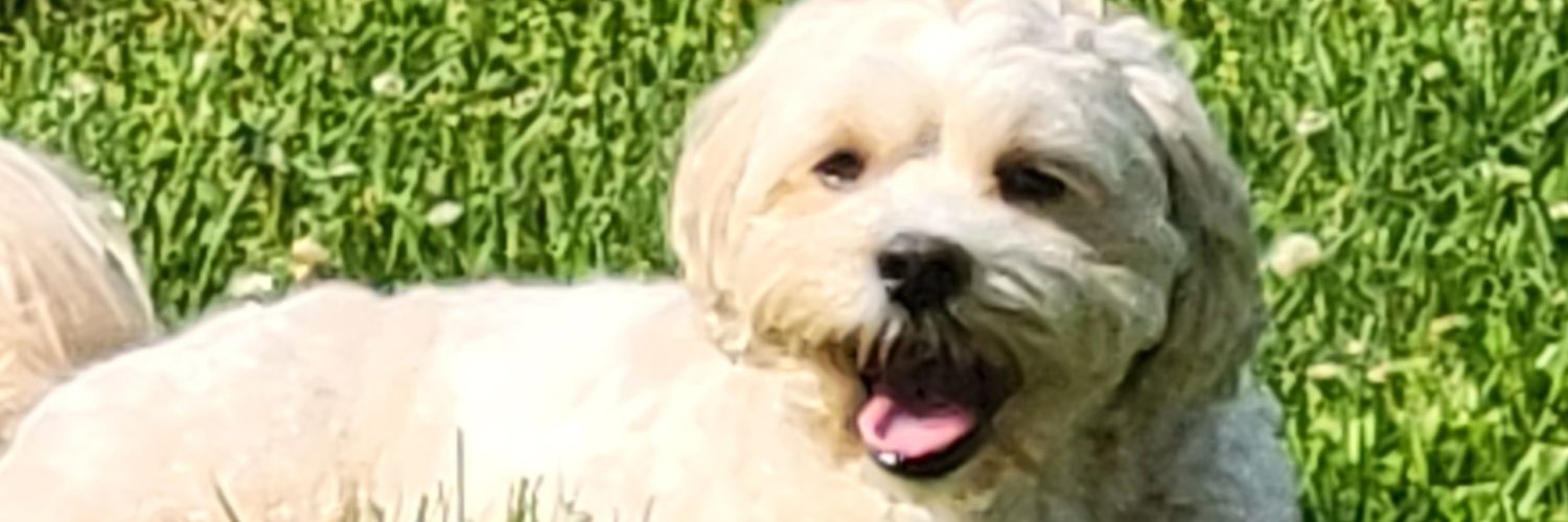 thunderchunkyPA's profile banner image