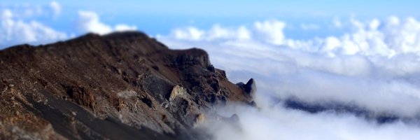 molecularkrysta Profile Banner