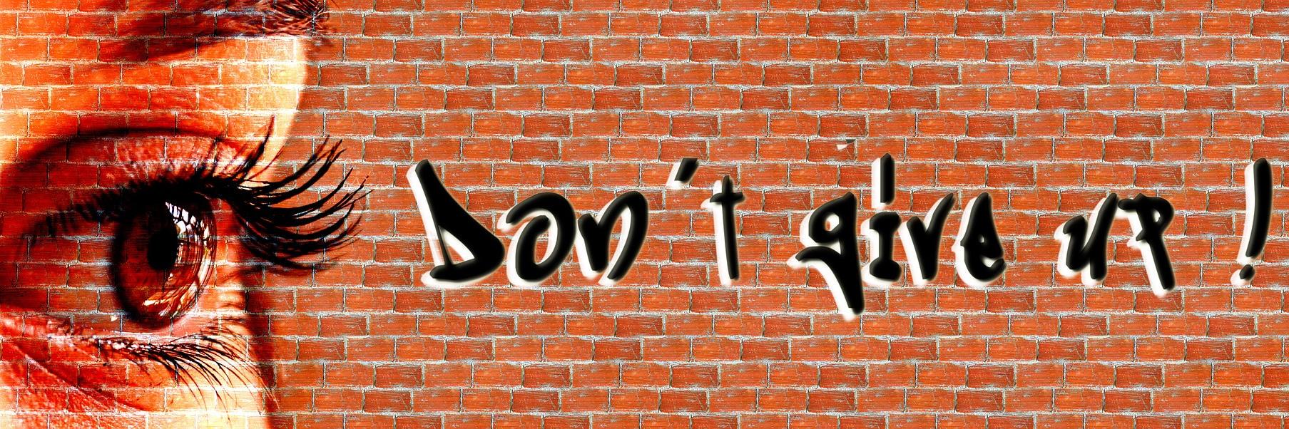 HarryvanWill's profile banner image