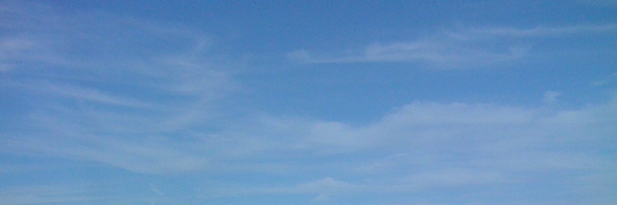 Camille DeSantis banner