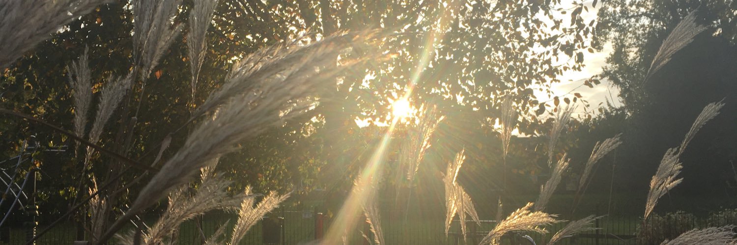 Abellya's profile banner image