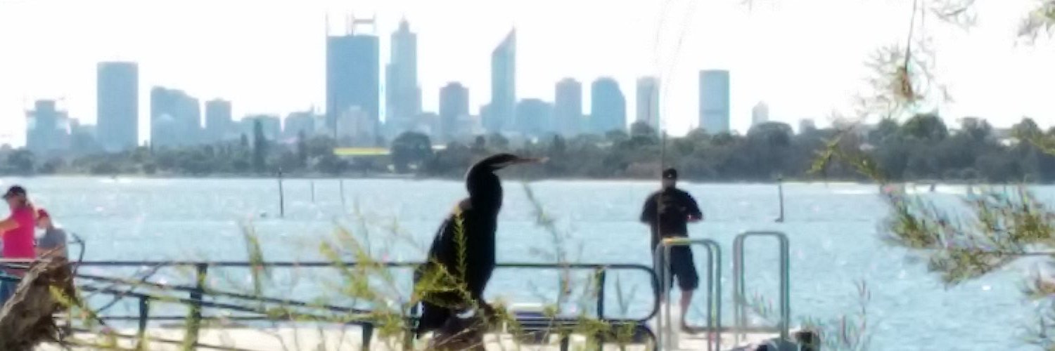 sk8turner's profile banner image
